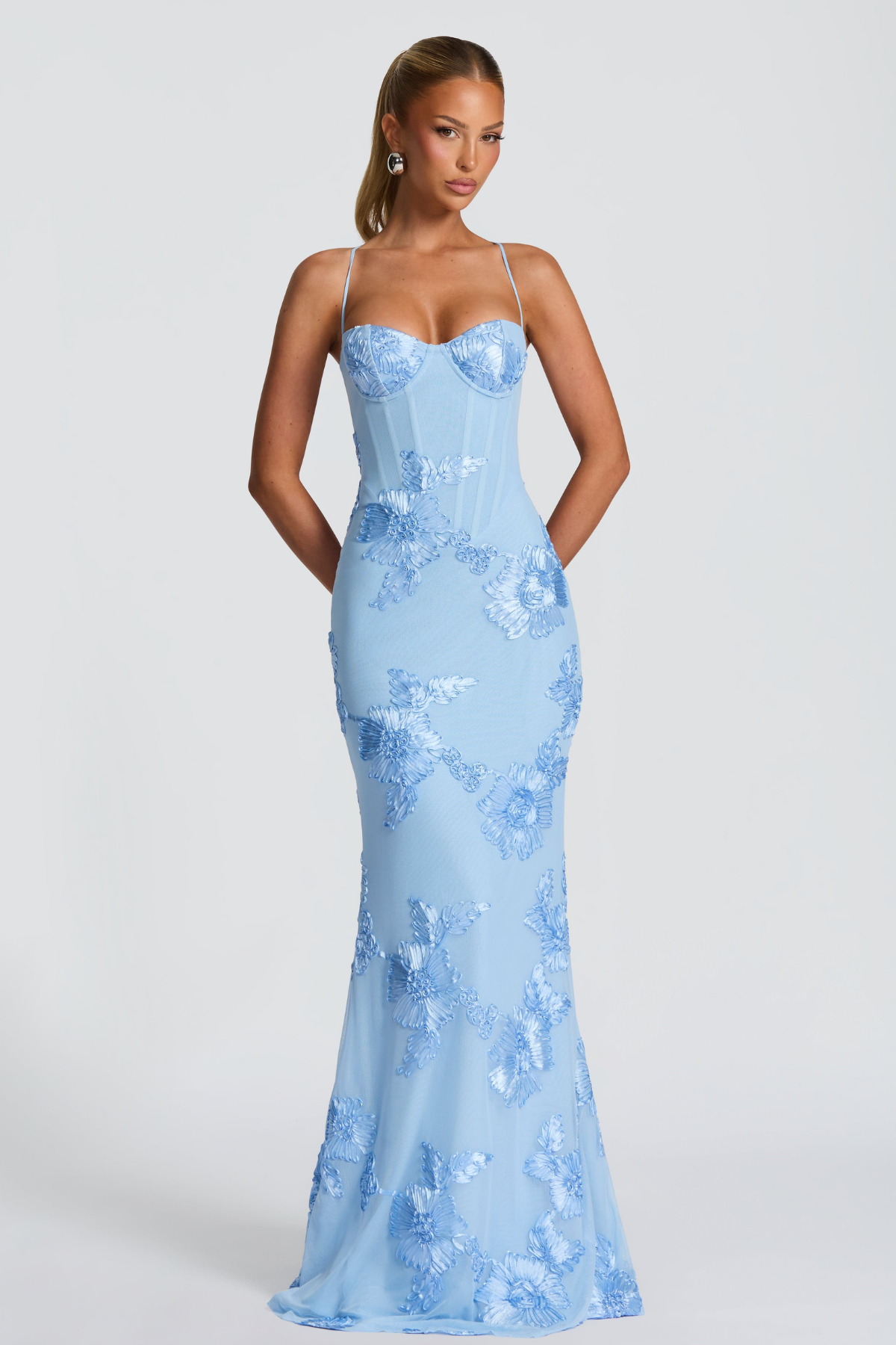 Seraphina floral embroidered bustier maxi dress