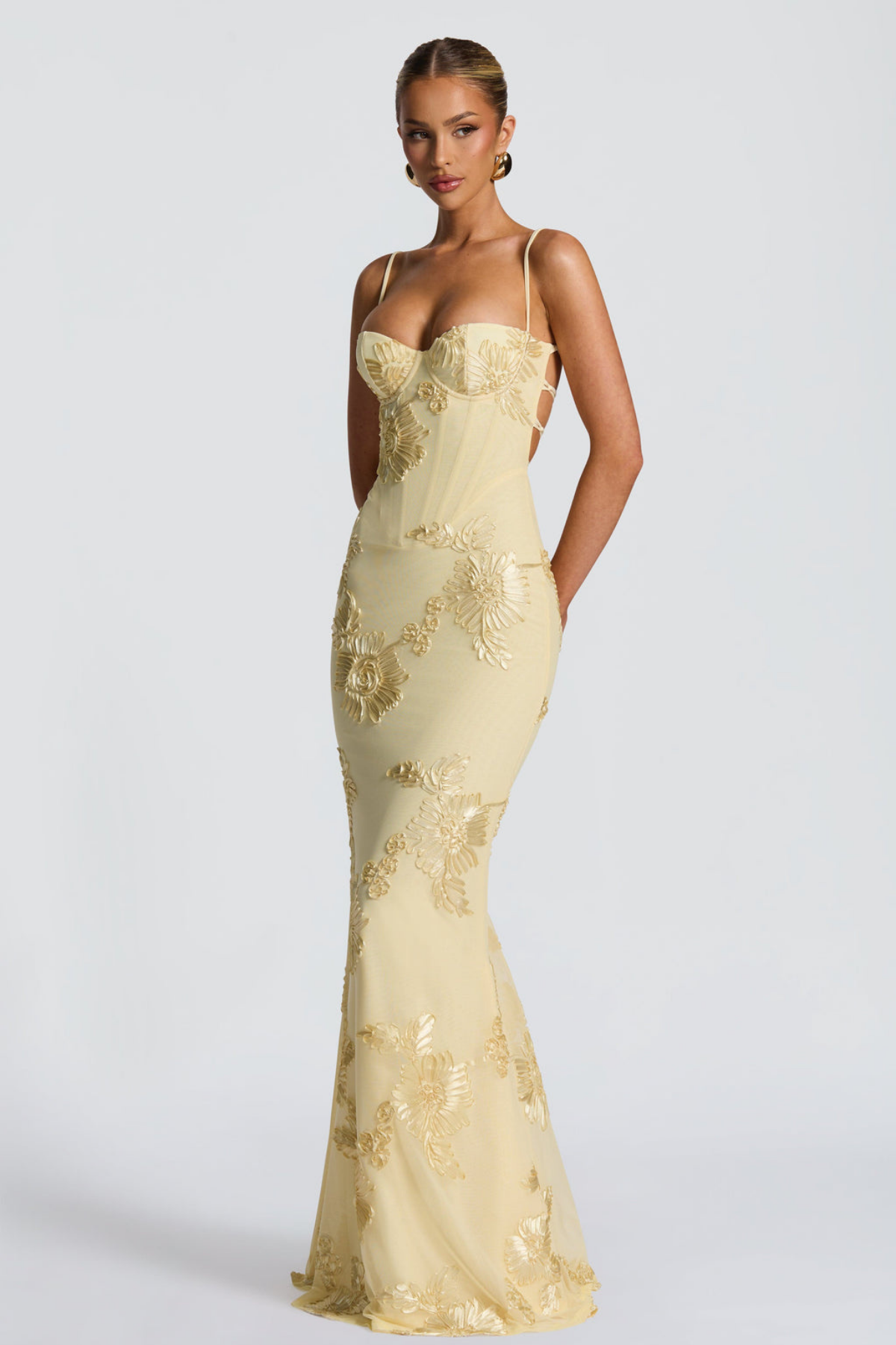 Seraphina floral embroidered bustier maxi dress