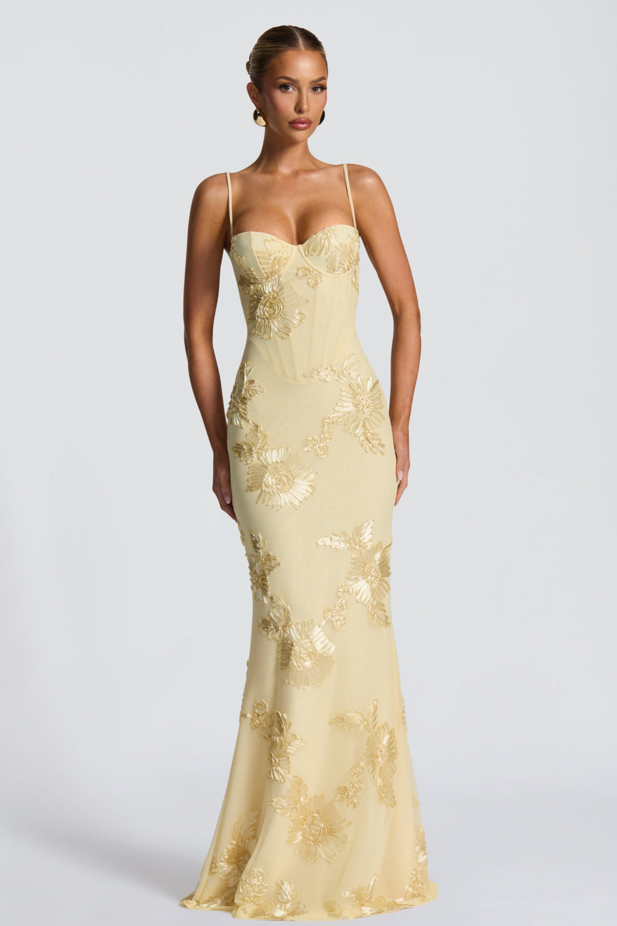 Seraphina floral embroidered bustier maxi dress
